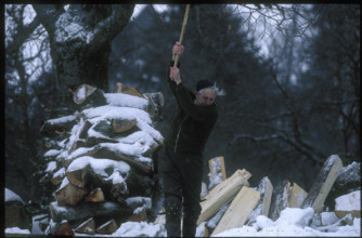 Swiss celebrities fitness training: Fritz Hari chopping wood 1986