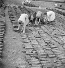 Peat extraction near Ins 1942