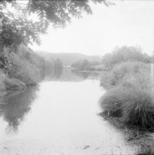 Dietikon; trees reflecting on water; marble pond; 1961