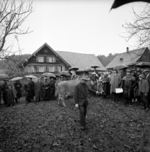 Kirchberg, farm at auction, 1965