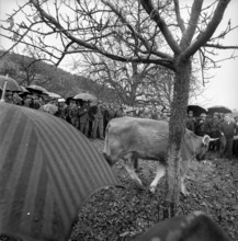 Kirchberg, farm at auction, 1965