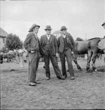 Horse market of Chaindon-Reconvilier, 1941