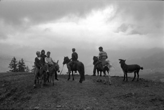 The Winnetou Ranch disposes of 121,000 m2 of land, grassland and forest where children from 7 to 12