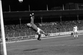 Champions Cup semi-final 1977: FC Zurich vs. Liverpool FC; Karl Grob
