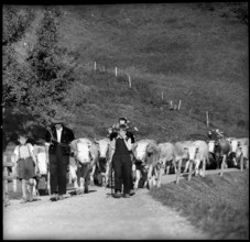 Alpabzug in the Justistal Valley, 1958