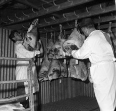Basel, quality control at Swiss Border, 1966