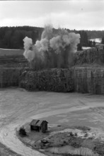 Image series; Image 4 of 12