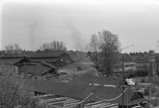 Image series; Image 11 of 14