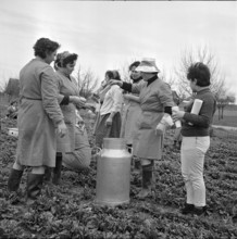 Women give out drinks; Easter March 1966