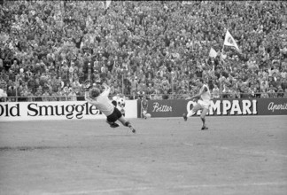 Cup final replay
