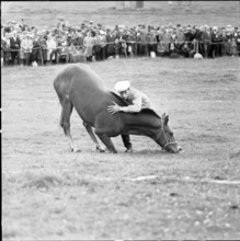 62nd Marché-Concours Saignelégier, Dubail with Toutebelle, 1965