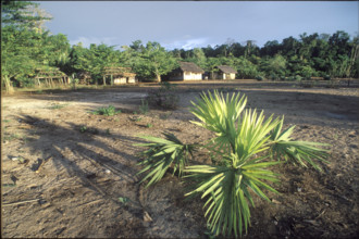 Village on Wetar island, Indonesia, 1986
