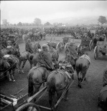 Military parade of Thurgau field artillery Detachment 21, Frauenfeld 1949