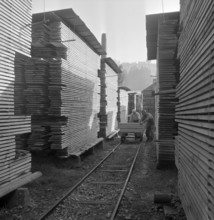 Timberyard, 1959