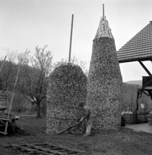 Tristen, piles of firewood, in Bowil, Emmental valley, 1972