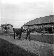 38th Marché-Concours Saignelégier, presentation, 1941