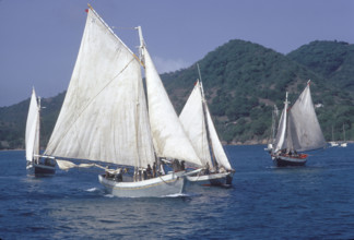 Reportage on the Caribbean islands: fishing boats