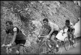 Tour de Suisse 1974: Winner Eddy Merckx