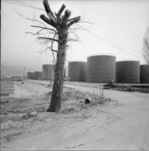 Cressier, Refinery under construction, oil tank, 1965