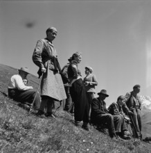 Farmers watch the cattle in the mountain pastures, 1955