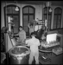 Coca-Cola Berne, workers, bottling plant, bottle, 1949