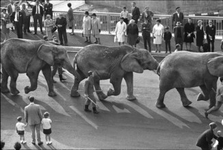 Basel, procession, inauguration of Luzernerring bridge; 1965