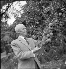 General Guisan in his garden, 1954