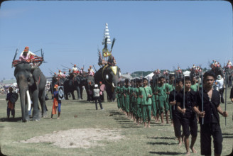 Elephant Games in Thailand 1979