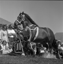 60th Marché Concours Saignelégier, 1963
