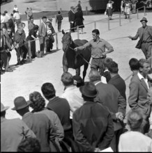 60th Marché Concours Saignelégier, 1963