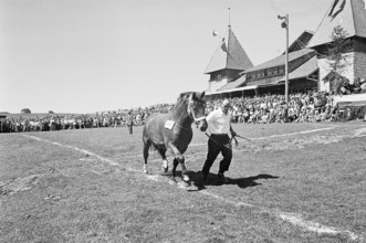 60th Marché Concours Saignelégier, 1963