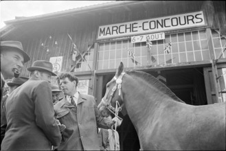 63rd Marché-Concours Saignelégier, Halle Cantine, 1966