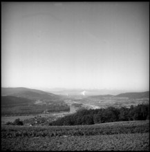 Aare at Brugg 1950