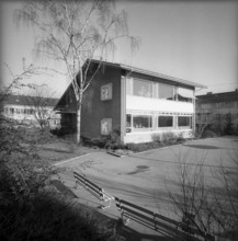 Behavior research, ethology at kindergarten, Zurich 1958