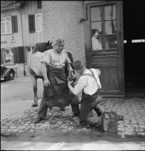 WW2: soldiers shoeing an army horse, 1940