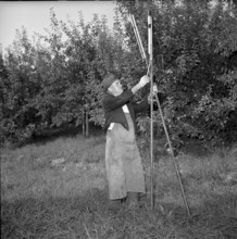 Farmer with hail defense rockets, 1951