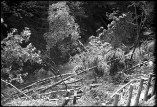 law; land slide after heavy rains, damaged wood; 1946