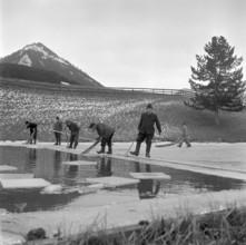 Workers Providing Ice for the Schützengarten Brewery, 1957