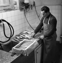 Preparing whitefish at the Lake Constance, 1957