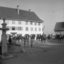 Autumnal hunting in Elgg, 1958