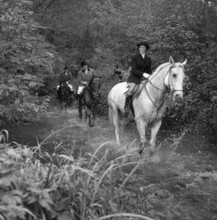 fox hunting; fox hunting in Lenzburg, 1958