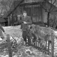 Jakob Stoll and his 100th killed wild boar, 1958