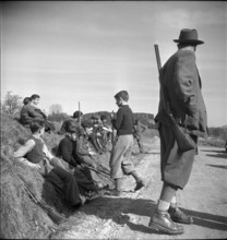 Hunting wild boars in Elgg, 1950
