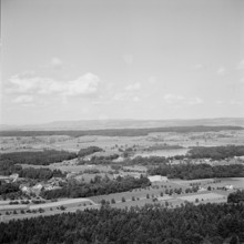 Landscape near Katzensee; 1953