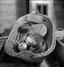 Gathering natural produce for Swiss donation, 1945