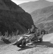 Heidenwein: grape transport, 1956