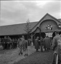 38th Marché-Concours Saignelégier, mare with foal, 1941