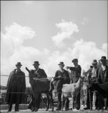 Men at cattle market in Bulle, 1946