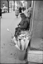 Florist in the Street, 1966
