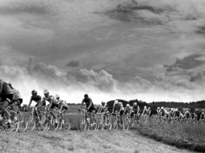 Tour de Suisse 1971: The field